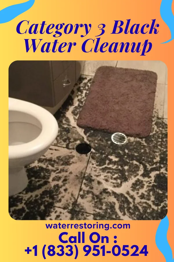 Category 3 Black Water Cleanup in Elsie, MI