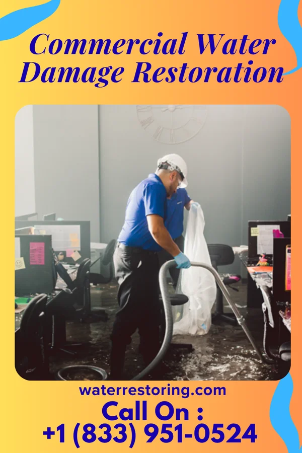 Commercial Water Damage Restoration in Elsie, MI