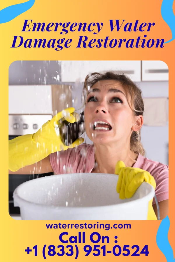 Emergency Water Damage Restoration in Elsie, MI