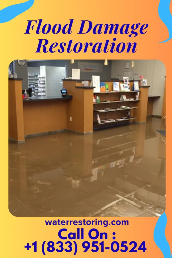 Flood Damage Restoration in Elsie, MI