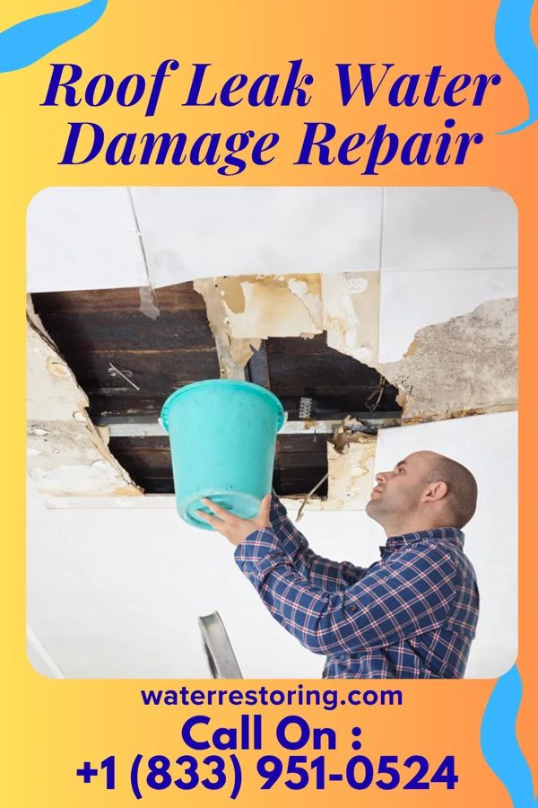 Roof Leak Water Damage Repair in Elsie, MI