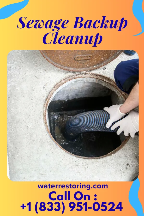 Sewage Backup Cleanup in Elsie, MI