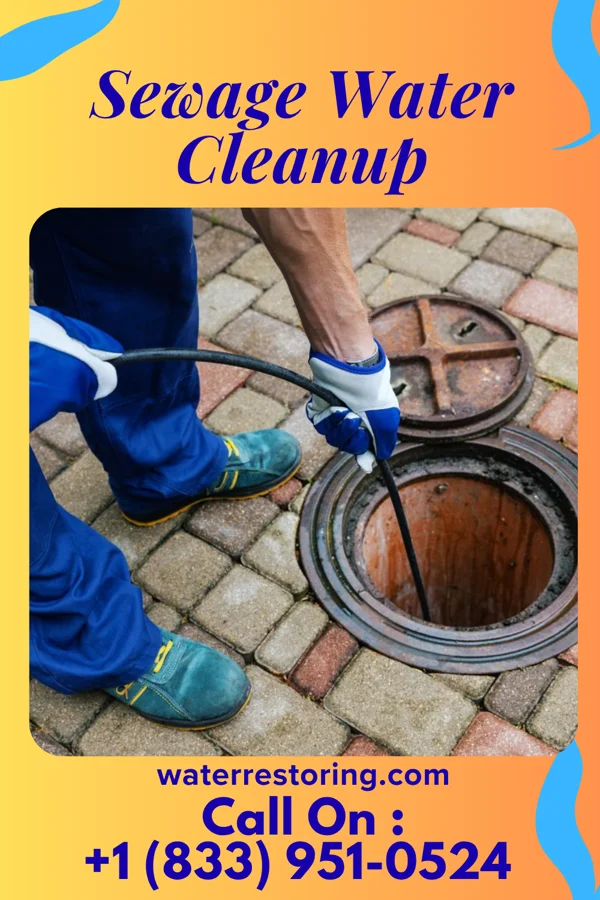 Sewage Water Cleanup in Elsie, MI