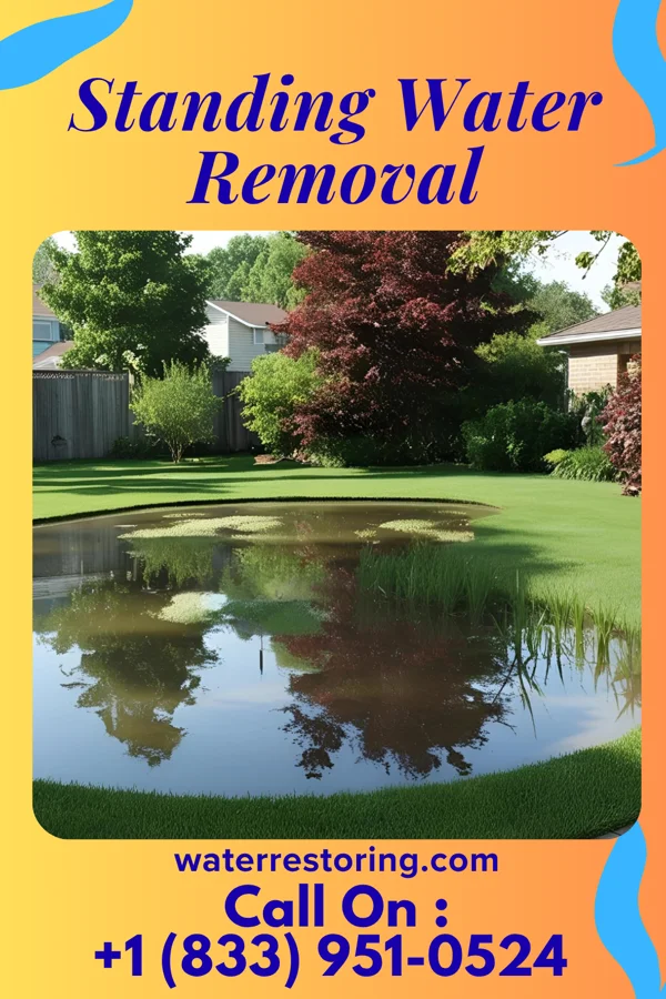 Standing Water Removal in Elsie, MI